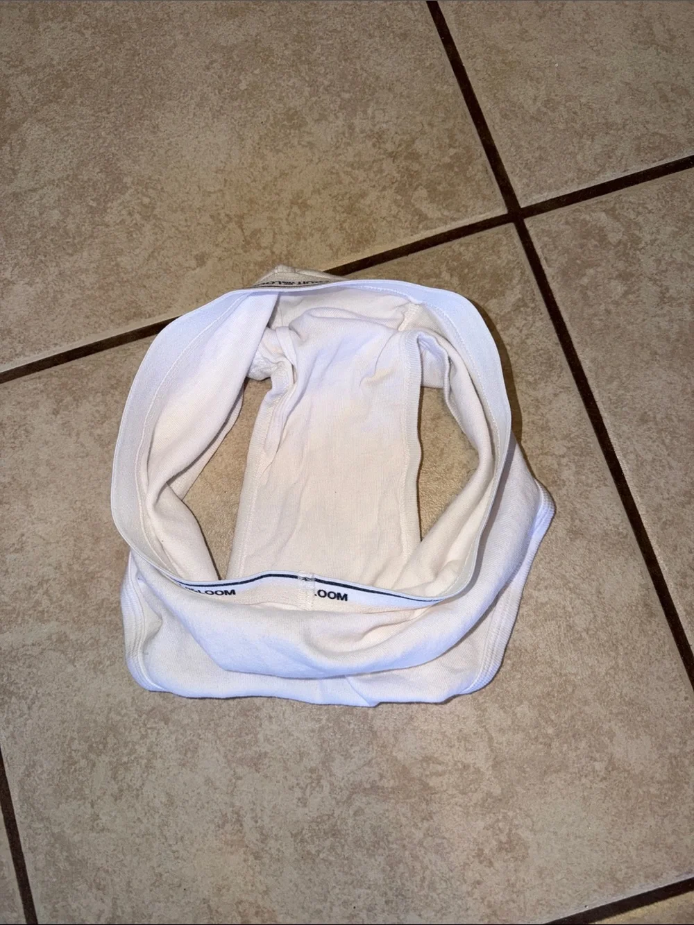 Fruit of the Loom White Men’s Cotton Briefs with Logo Waistband